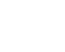 PEAKSWELLNESS